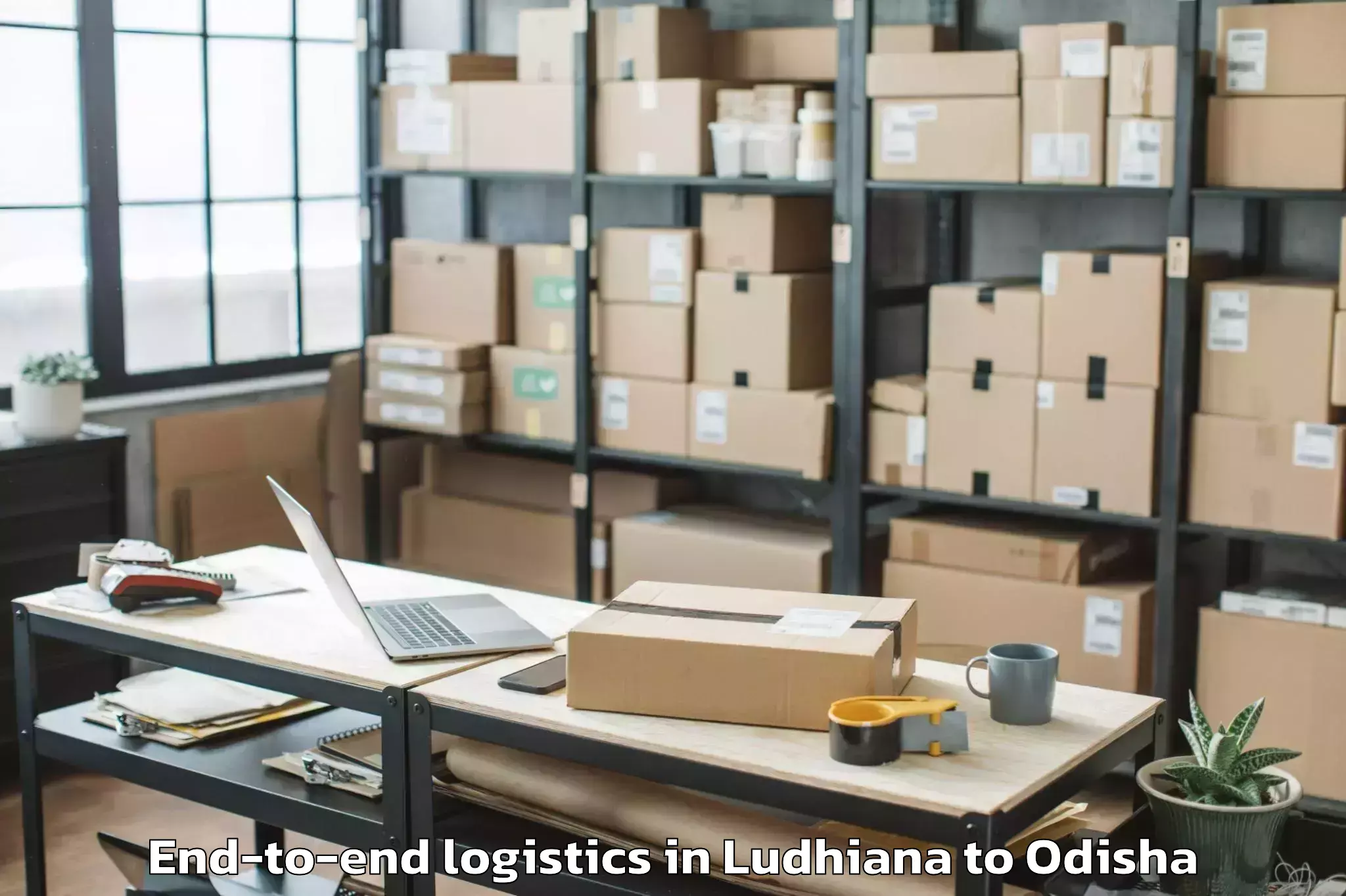 Book Ludhiana to Raghunathapali End To End Logistics Online